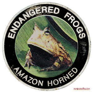 10 KWACHA PROOF 2010 RANA “AMAZON HORNED”