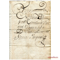 INFORMACIÓN DE NOBLEZA POR CATALINA PASQUAL PARA SU HIJO DON JUAN ANTONIO GOMEZ PASQUAL, 1782
